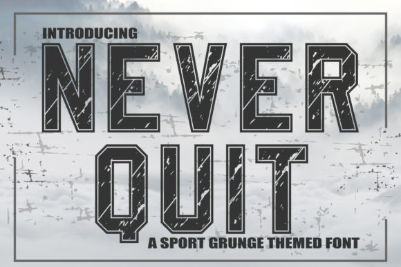 Never Quit: A Comprehensive Evaluation of the Display Font