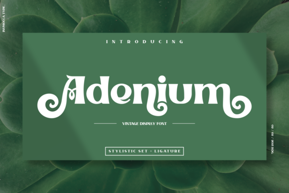 Unlocking Visual Impact: A Comprehensive Guide to the Adenium Display Typeface